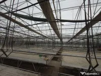 Oportunitate Sera PROFESIONALA EUROPROGRESS 2200 mp (SH)