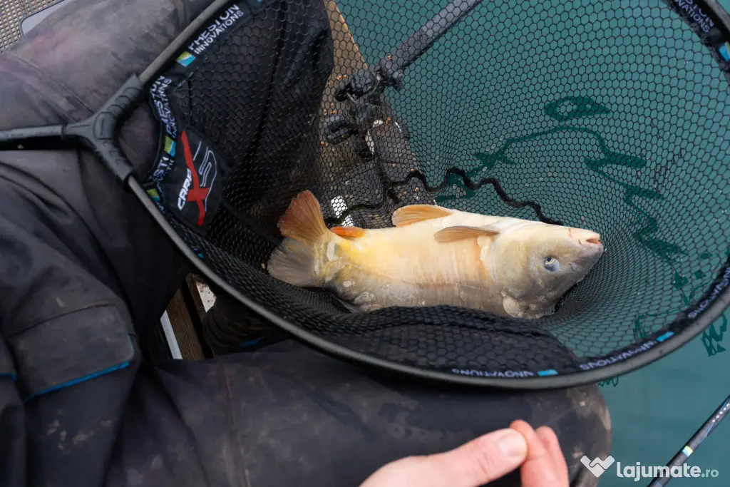 Cap Minciog Preston Carp XS Landing Net, 60cm