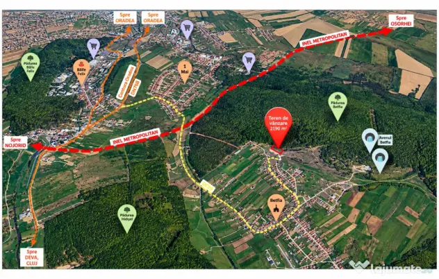 BETFIA! Aici începe pădurea, iar priveliștea nu se mai termină.