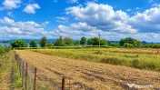 Macesti | Teren Drept La Dunare | 1850MP | ZERO COMISION 