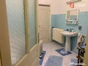 Casa individuala cu 3 imobile separate de vanzare in zona Io