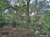 Teren cu pădure de vânzare – 1.360 mp, Alba Iulia 