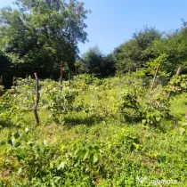 Teren 2.889 mp, PUZ P+2, toate utilitățile, Șoseaua Tudor