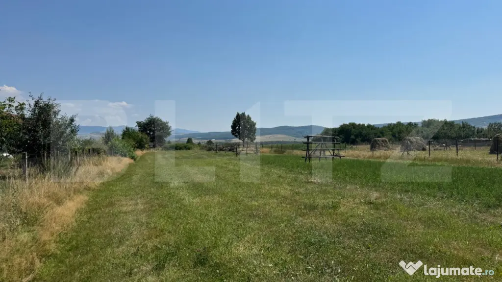 Teren intravilan, 3000 mp, zona Livezile - Livezile (Bistrita-Nasaud)