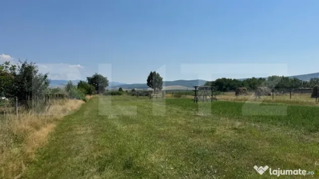 Teren intravilan, 3000 mp, zona Livezile - Livezile (Bistrita-Nasaud)
