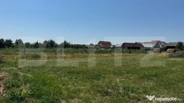 Teren intravilan, 3000 mp, zona Livezile - Livezile (Bistrita-Nasaud)