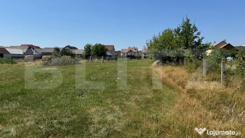Teren intravilan, 3000 mp, zona Livezile - Livezile (Bistrita-Nasaud)