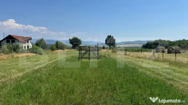 Teren intravilan, 3000 mp, zona Livezile - Livezile (Bistrita-Nasaud)