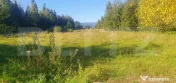 Teren intravilan, 14.540 mp, zona Neagra Sarului - Vatra Dor
