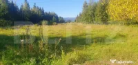 Teren intravilan, 14.540 mp, zona Neagra Sarului - Vatra Dor 