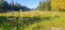 Teren intravilan, 14.540 mp, zona Neagra Sarului - Vatra Dor