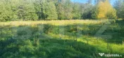 Teren intravilan, 14.540 mp, zona Neagra Sarului - Vatra Dor