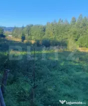 Teren intravilan, 14.540 mp, zona Neagra Sarului - Vatra Dor