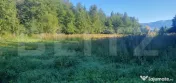 Teren intravilan, 14.540 mp, zona Neagra Sarului - Vatra Dor