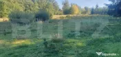 Teren intravilan, 14.540 mp, zona Neagra Sarului - Vatra Dor