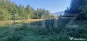 Teren intravilan, 14.540 mp, zona Neagra Sarului - Vatra Dor