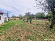 Casa+Teren aferent si Anexe, Drăguțești-Urechești 