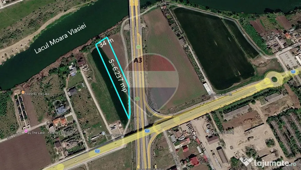 Teren intravilan 6.237 mp – Moara Vlăsiei - Moara Vlasiei (Bucuresti-Ilfov)