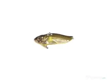 Cicada Strike Pro Astro Vibe 146OBE 4,5Cm/9,6G