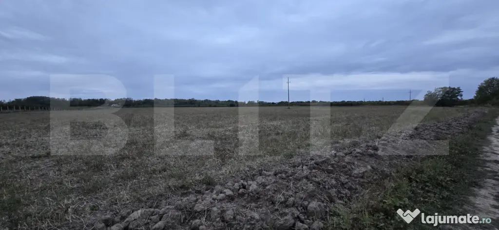 Teren extravilan, 17.545 mp, zona Est - Satu Mare (Satu-Mare)
