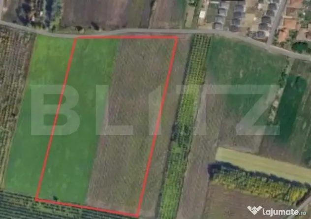 Teren extravilan, 17.545 mp, zona Est - Satu Mare (Satu-Mare)