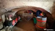 Casă de vânzare în Axente Sever – situată la șoseaua principală