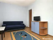 Chirie garsoniera, zona Confectii langa Universitate ”Vasile Goldis” 