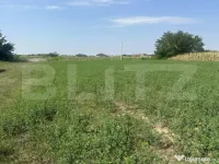 Teren extravilan ,600 mp, zona Alecu Russo