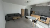 Aparatorii patriei studio berceni 