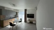 Aparatorii patriei studio berceni 