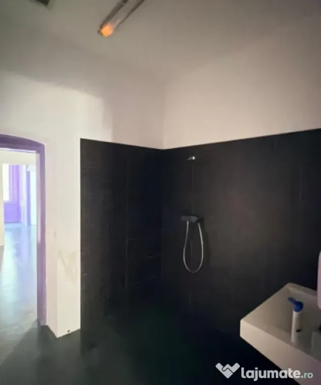 Apartament cu 4 camere in Piata Mocioni, Timisoara - Timisoara (Timis)