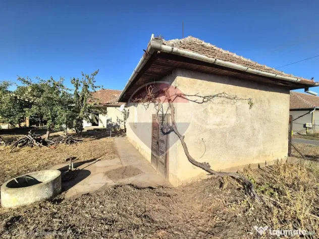 Proprietate cu teren 1.359 mp, poziție pe colț și utilități la strada - Macea (Arad)