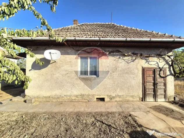 Proprietate cu teren 1.359 mp, poziție pe colț și utilități la strada - Macea (Arad)