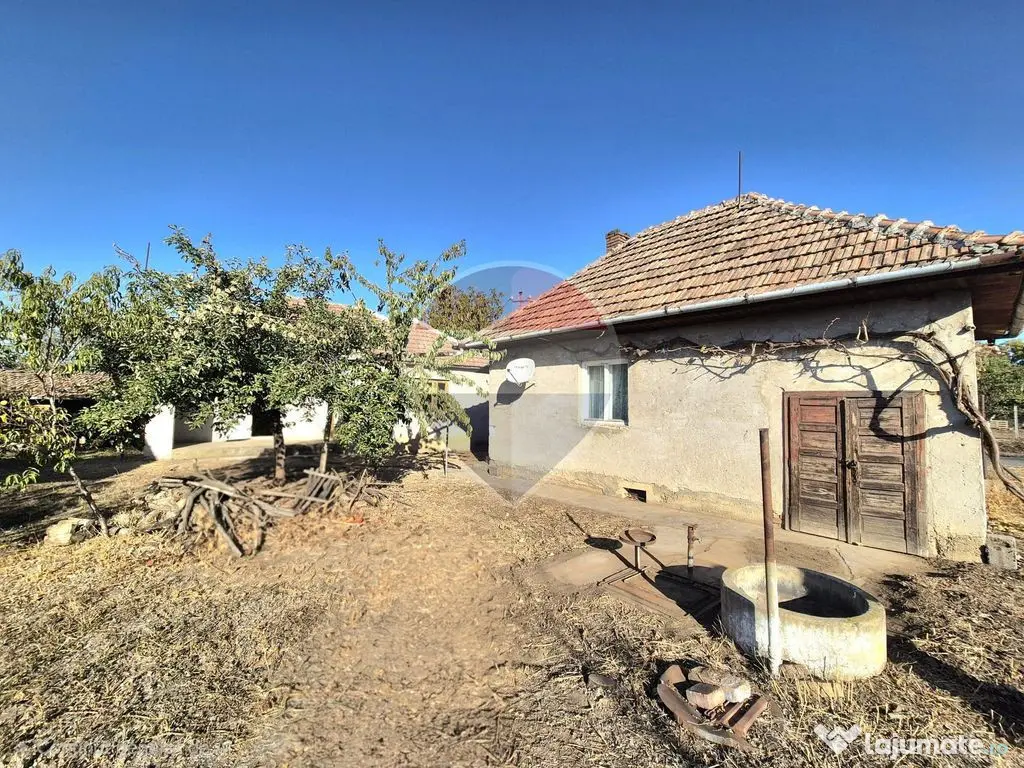 Proprietate cu teren 1.359 mp, poziție pe colț și utilități la strada - Macea (Arad)