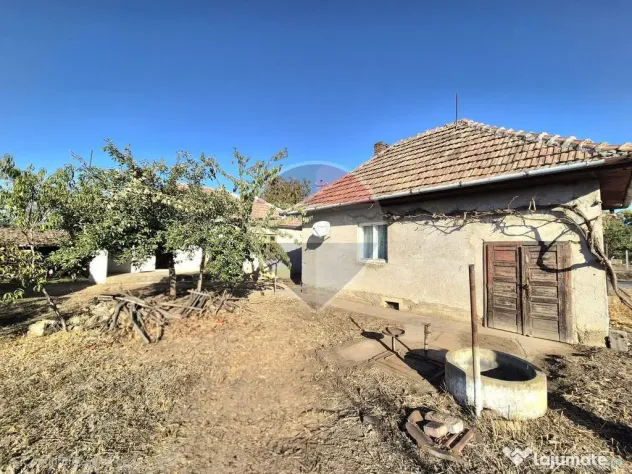 Proprietate cu teren 1.359 mp, poziție pe colț și utilități la strada - Macea (Arad)