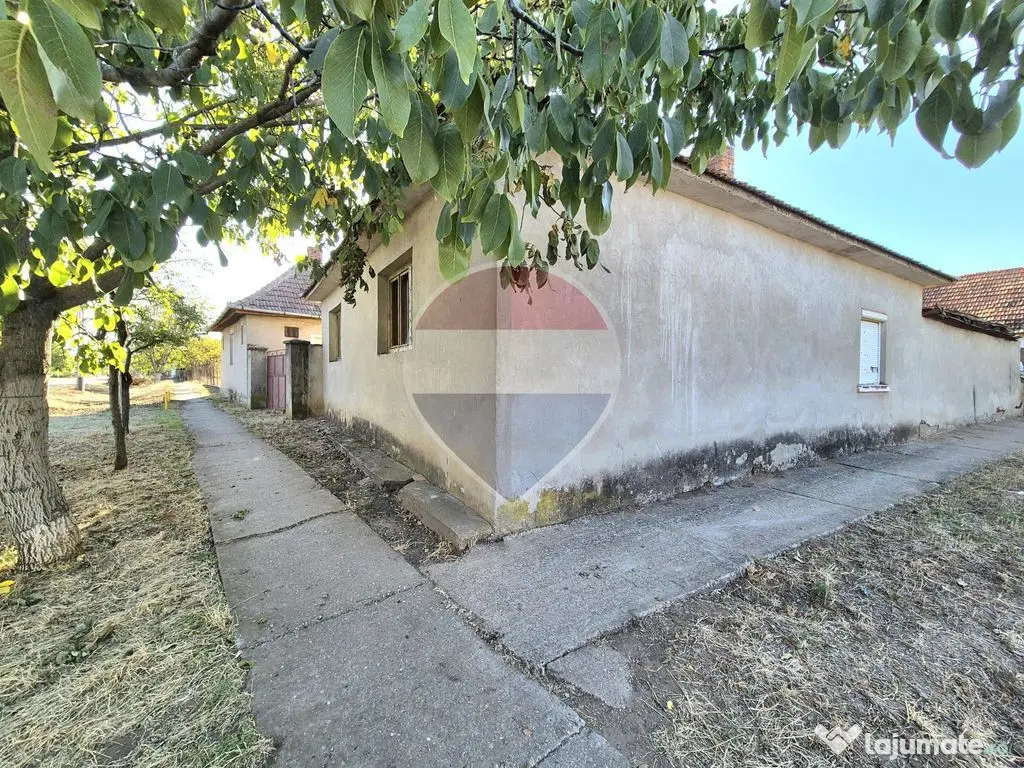Proprietate cu teren 1.359 mp, poziție pe colț și utilități la strada - Macea (Arad)