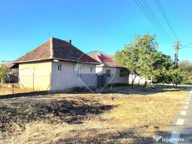 Proprietate cu teren 1.359 mp, poziție pe colț și utilități la strada - Macea (Arad)