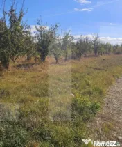 Terenuri intravilane in zona Evergreen