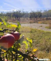 Terenuri intravilane in zona Evergreen