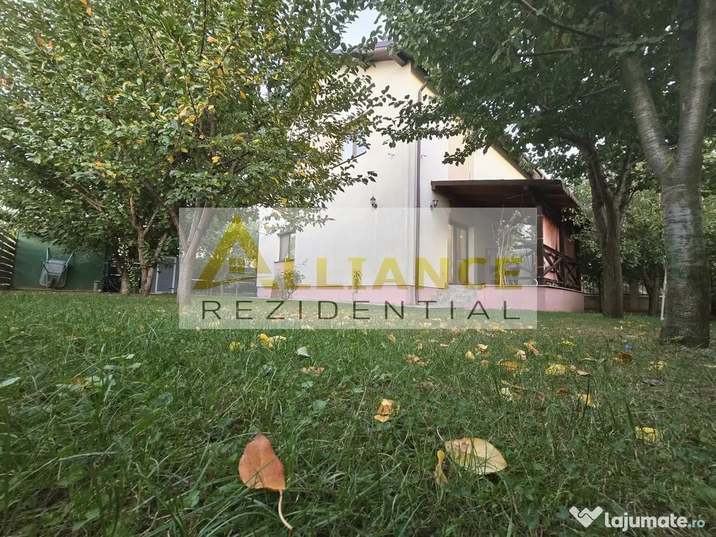 Casa Individuala - 5 camere - 2 bai - 385mp teren - Berceni (Bucuresti-Ilfov)