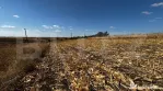 Teren extravilan 1.600 mp, vedere panoramică și acces asfa