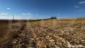 Teren extravilan 1.600 mp, vedere panoramică și acces asfa