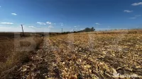 Teren extravilan 1.600 mp, vedere panoramică și acces asfa