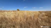 Teren extravilan 1.600 mp, vedere panoramică și acces asfa