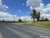 Teren 4.350 mp langa Balta Pasarea, Frumusani 