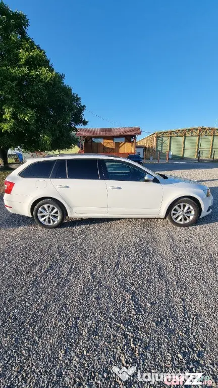 Skoda Octavia 1.6 TDI Ambition - Brasov (Brasov)