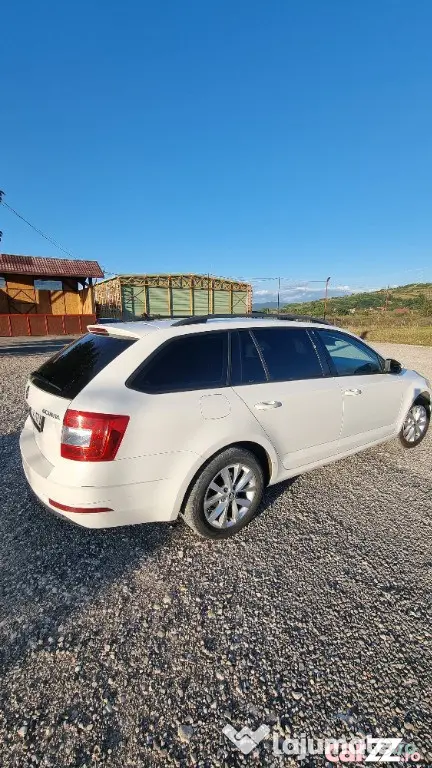 Skoda Octavia 1.6 TDI Ambition - Brasov (Brasov)