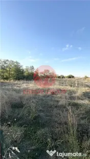 Teren de |1000 mp Soseaua Constantei spre Cumpana 