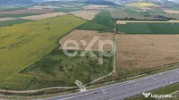 Teren Ungheni(Mureș)-Oportunitate pentru investiții indust