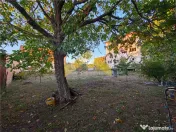 Casa la sol de in localitatea Livada , Arad 